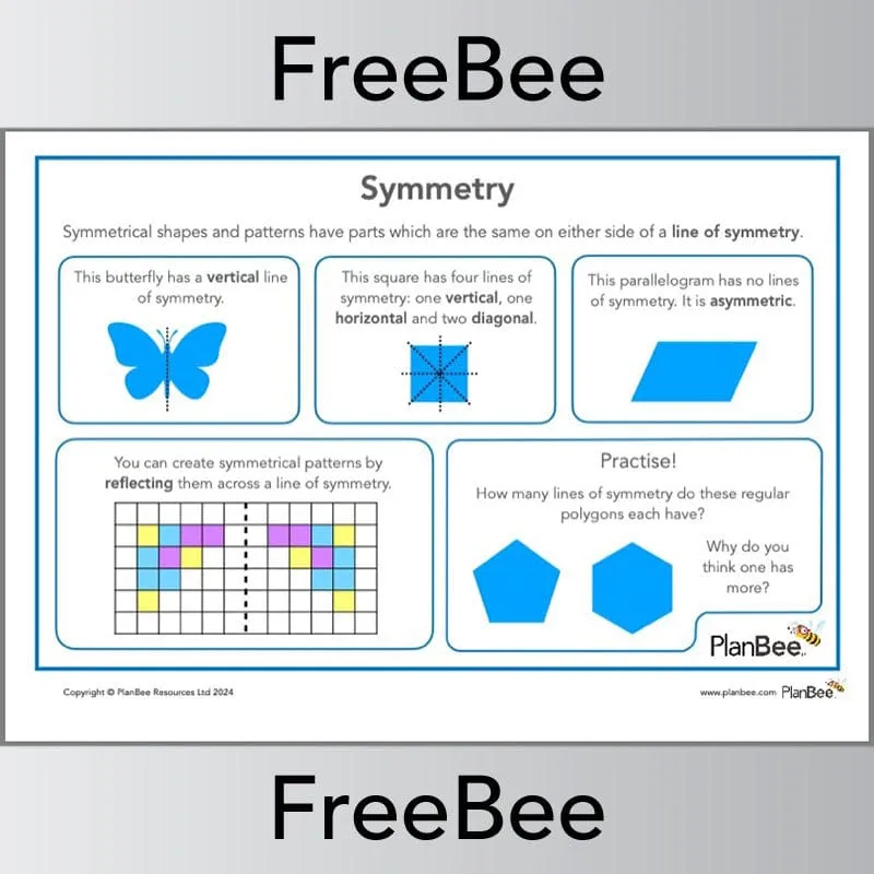 Maths Symmetry Poster