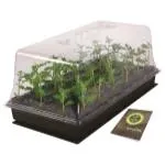 Super Sprouter Heated Propagation Station w/ 7 in Dome