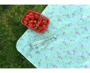 Waterproof Foldable Picnic Mat - Flamingo